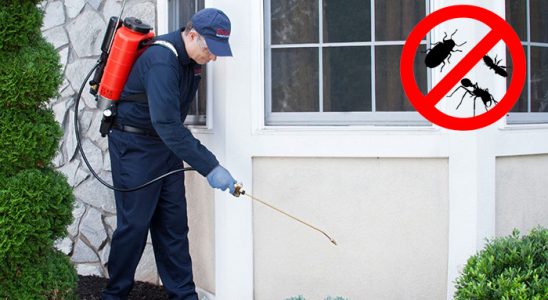 Tekirdağ Karınca İlaçlama böcek ilaçlama ve haşere kontrolü — ilaclama-tr.com